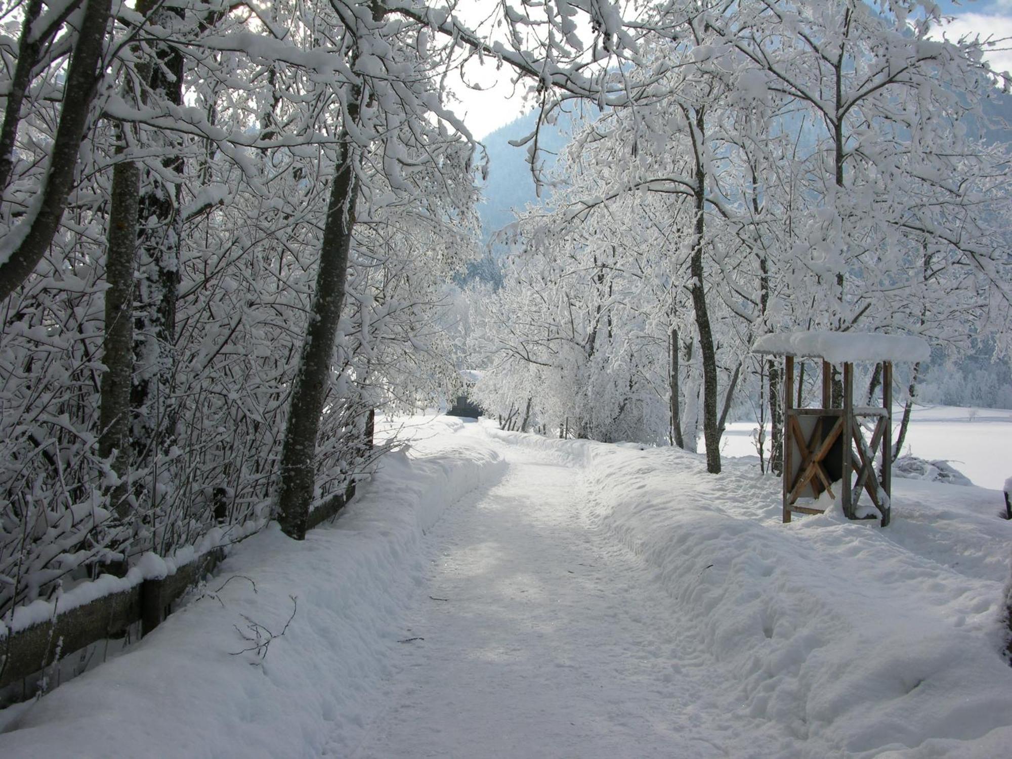 Haus Seeblick Am See Thiersee Εξωτερικό φωτογραφία